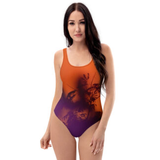 Sunset One-Piece Swimsuit